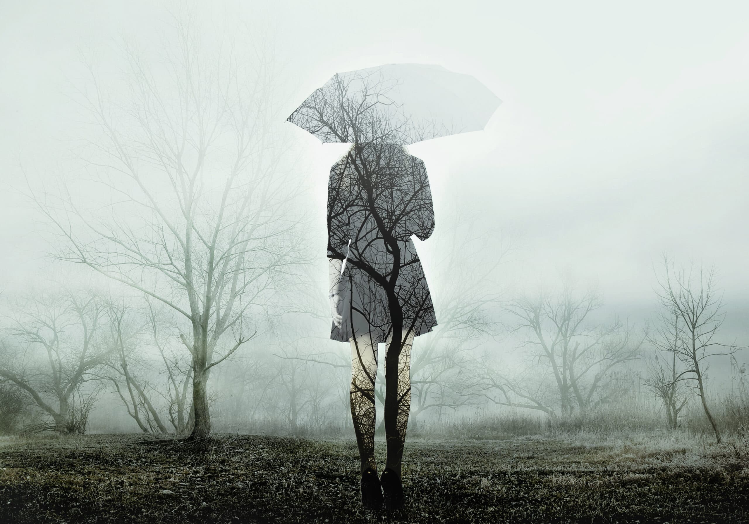Person standing with an umbrella in a misty field