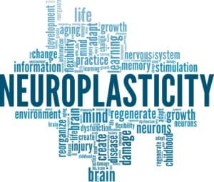 EMDR and Neuroplasticity: Change Your Brain, Change Your Life